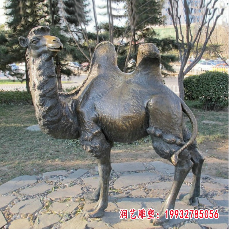 骆驼铜雕 (1)[1]