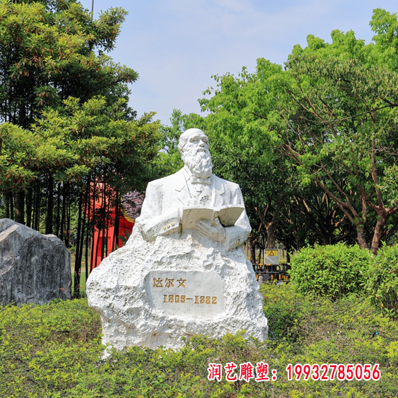 达尔文石雕 (3)