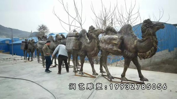 骆驼铜雕 (27)
