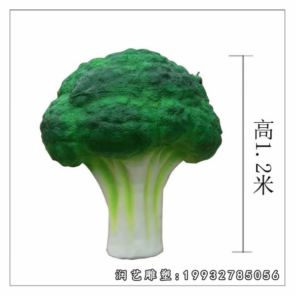 玻璃钢西兰花雕塑  (9)