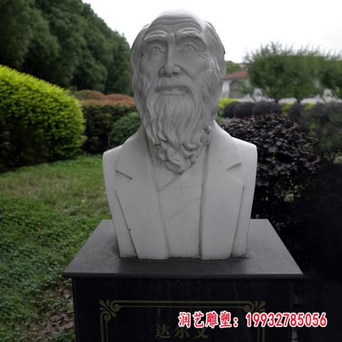 生物学家达尔文石雕
