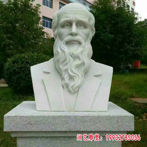 达尔文石雕