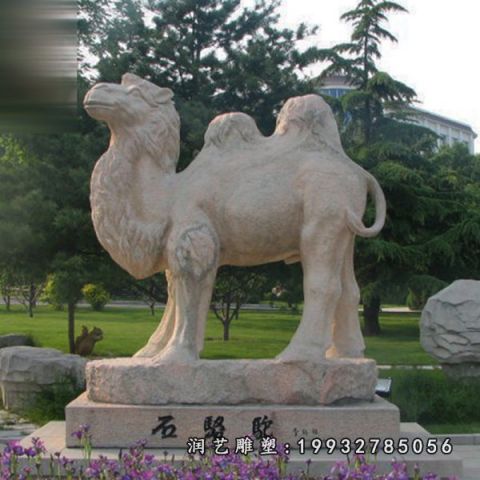 公园骆驼动物石雕