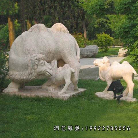 草坪骆驼动物石雕