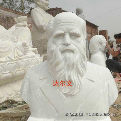 城市达尔文人物石雕