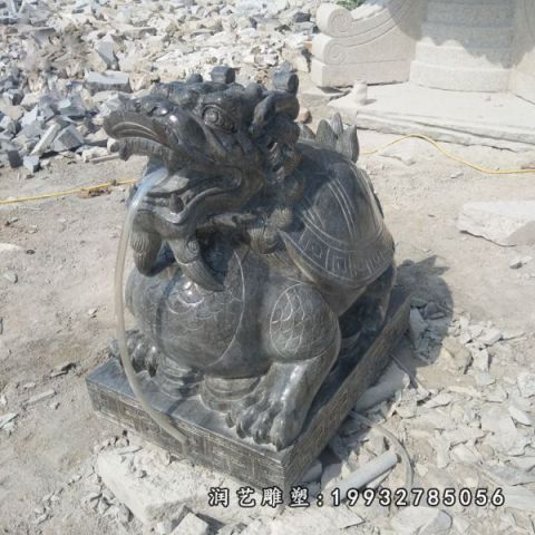 学校龙龟石雕